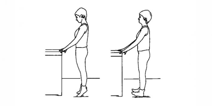 A person stands with hand resting on countertop for balance. Heels are raised off floor to perform heel raises. Then toes are lifted off floor to perform toe raises.