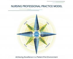 Screenshot of PDF for Nursing Professional Practice Modal document.